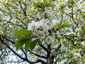 20130501 123751