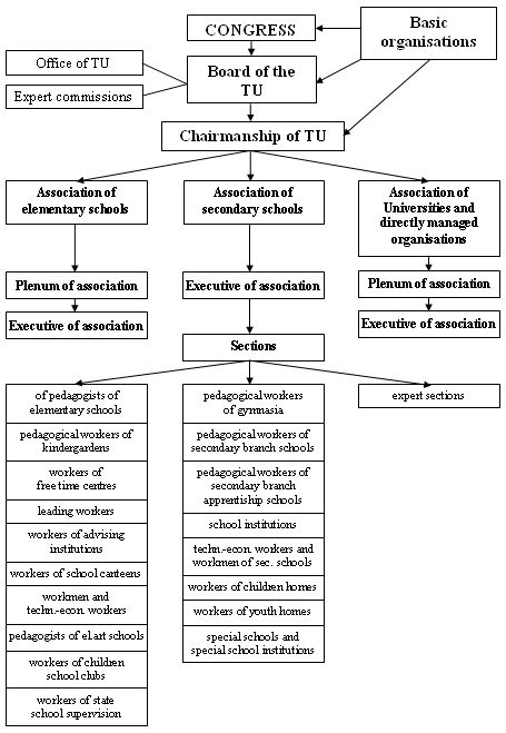 Organizational structure